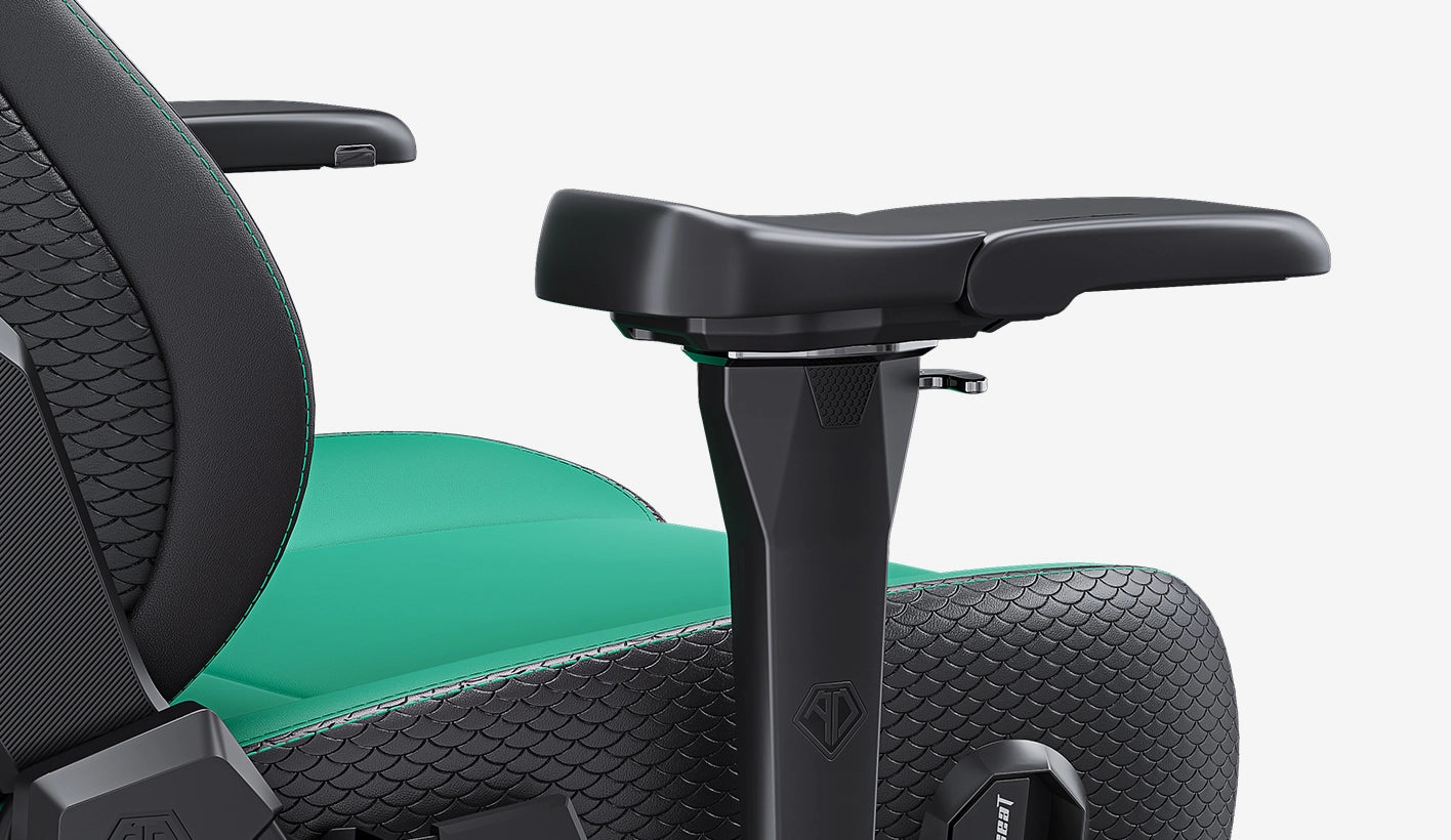 kaiser 4 flyquest edition with 5d armrests