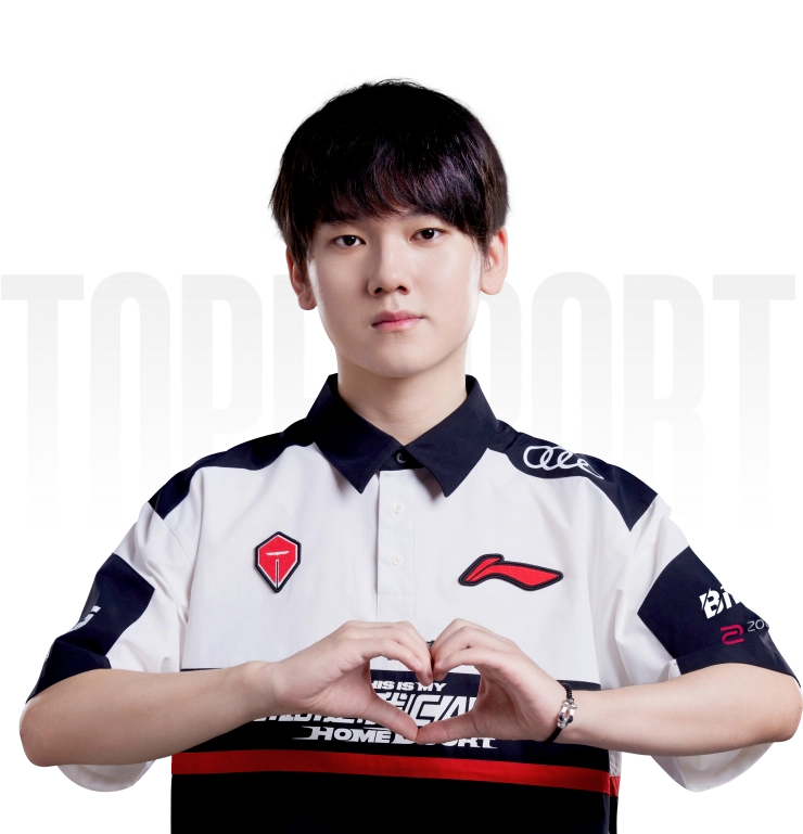 tes team player