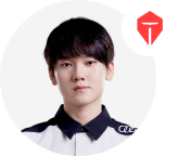 tes team player