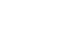 flyquest esports team logo
