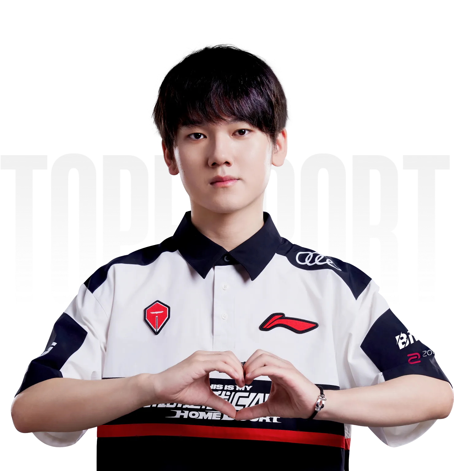 tes team player
