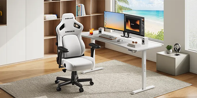 Kaiser 4 and Xtreme Standing Desk Bundle