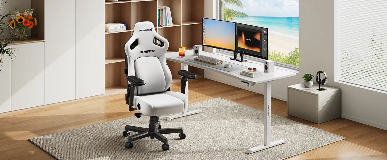 Kaiser 4 and Xtreme Standing Desk Bundle